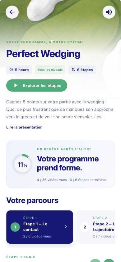 Présentation de Perfect Wedging, avec ses objectifs et son parcours de leçons.